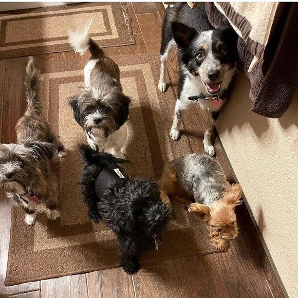 Meet your Posher, Bombshell Beauty!! - Picture 1 of 1